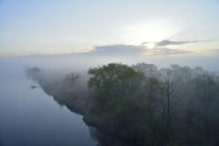 霧の中から