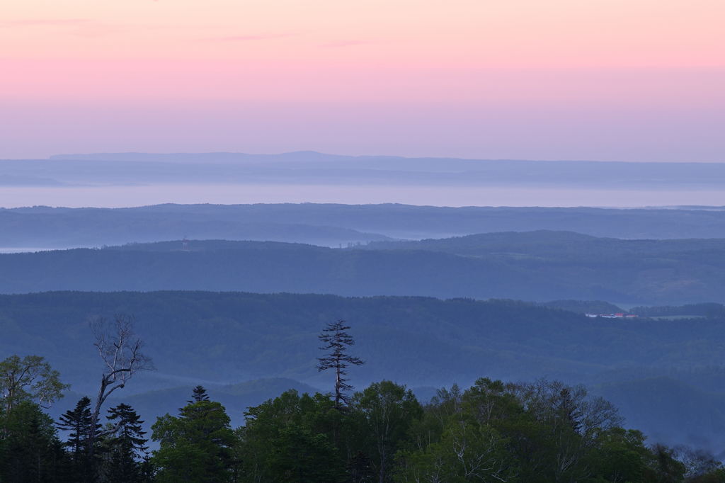グラデーション