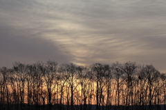 雲