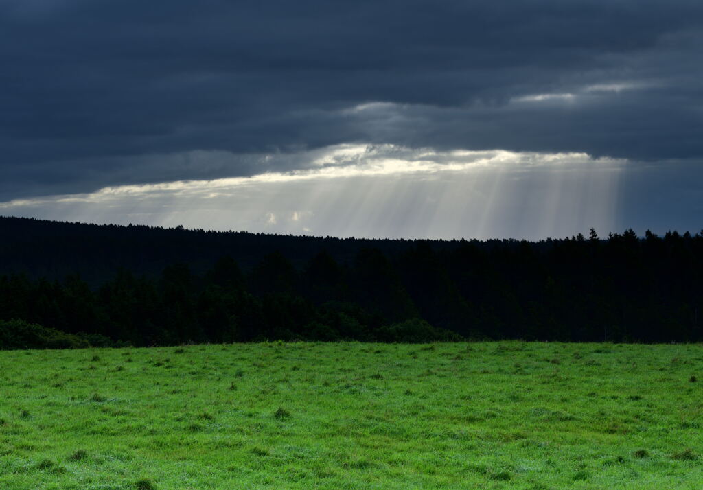 光の雨