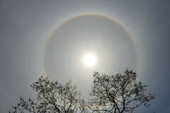 太陽