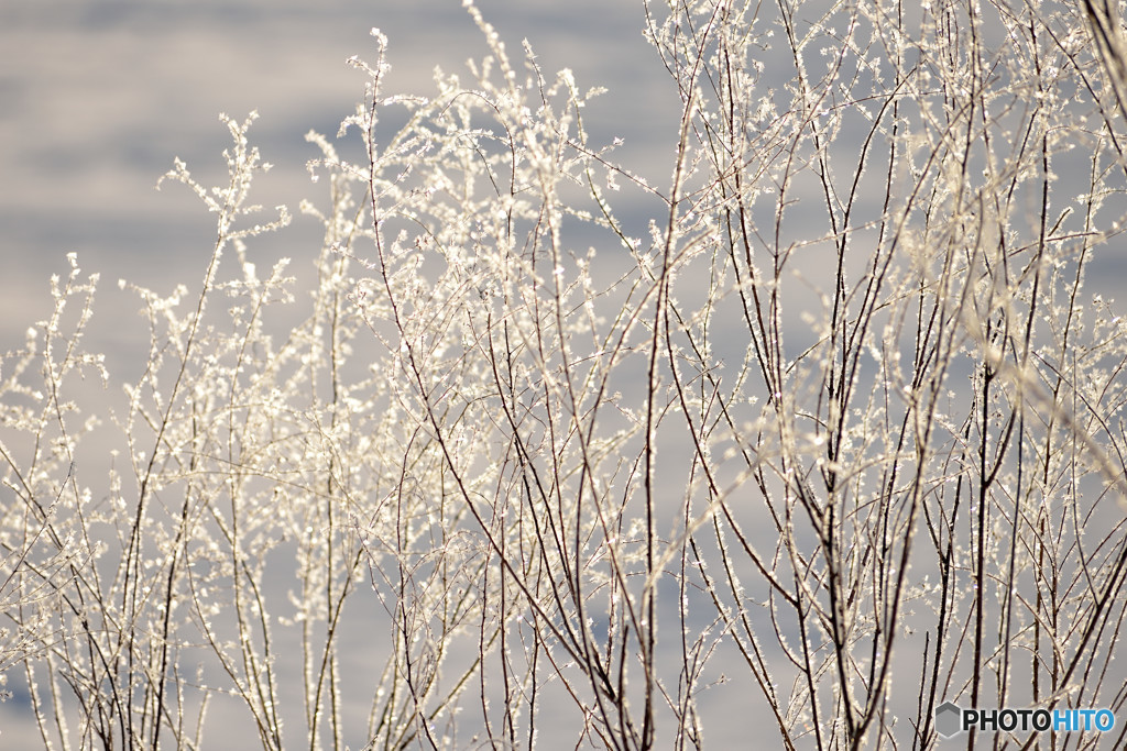寒い朝のご褒美