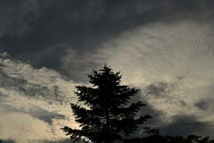 雲