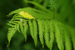 休息