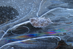 霜