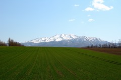 春の山
