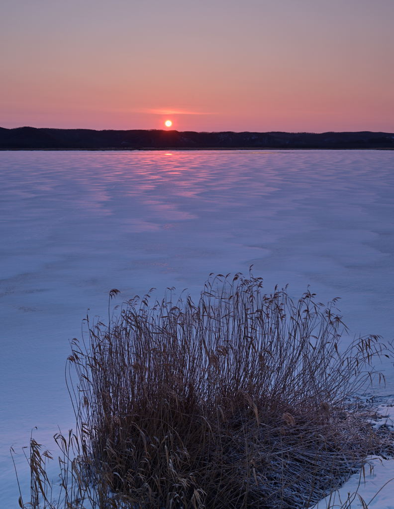 朝日に照らされて