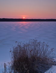 朝日に照らされて