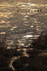 流れ込み