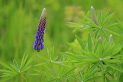 爽やか