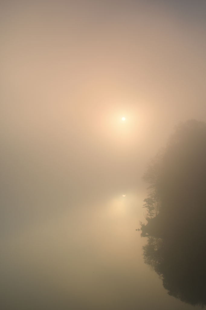 朝霧