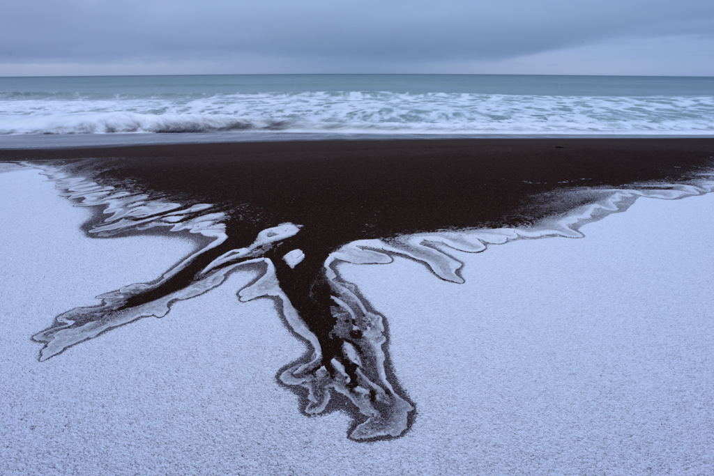 海獣