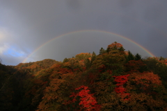 バリア