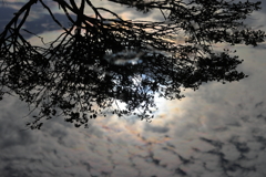 彩雲