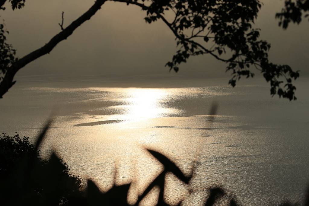 輝く湖面