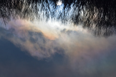 彩雲
