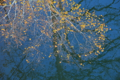 青空
