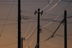 電線の朝