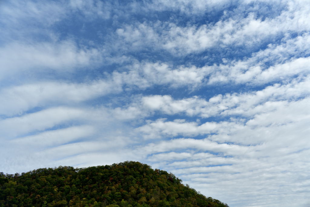 秋雲
