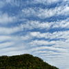 秋雲