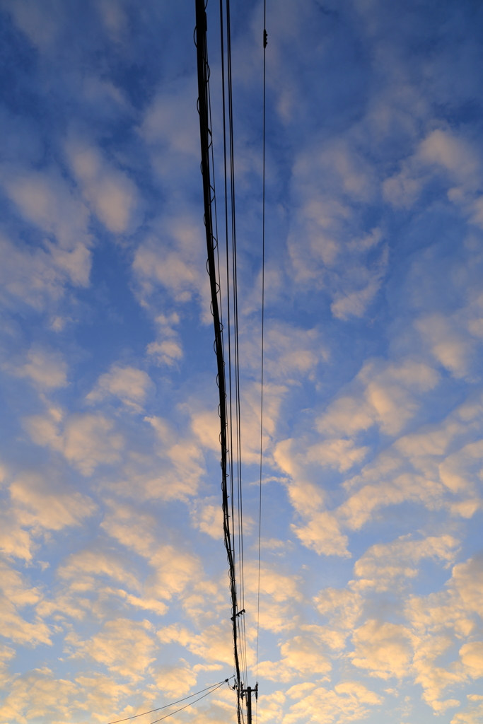 電線と雲