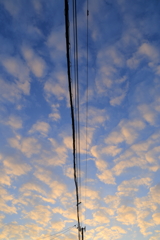 電線と雲