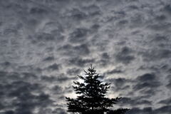 雲