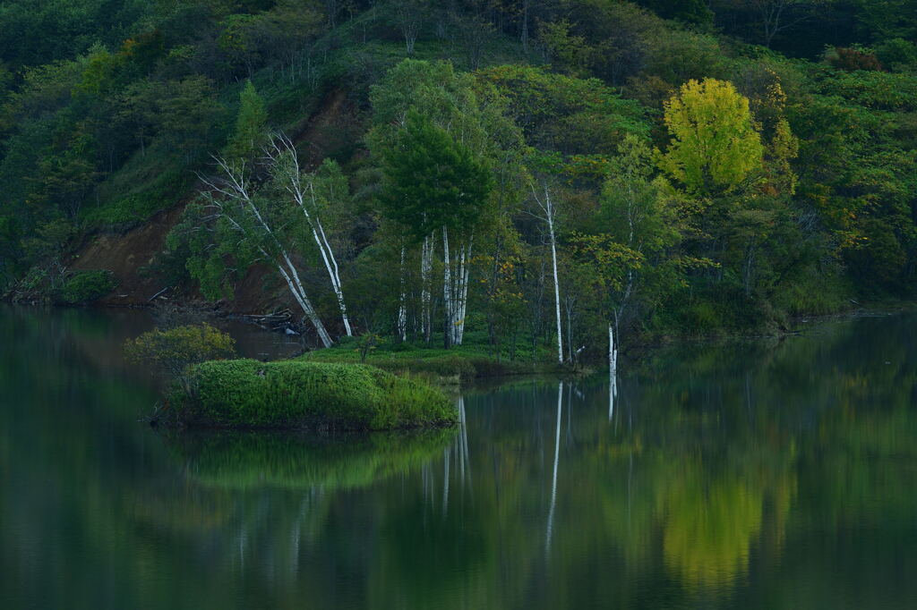 リフレクション