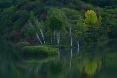 リフレクション