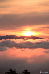 雲海　朝日