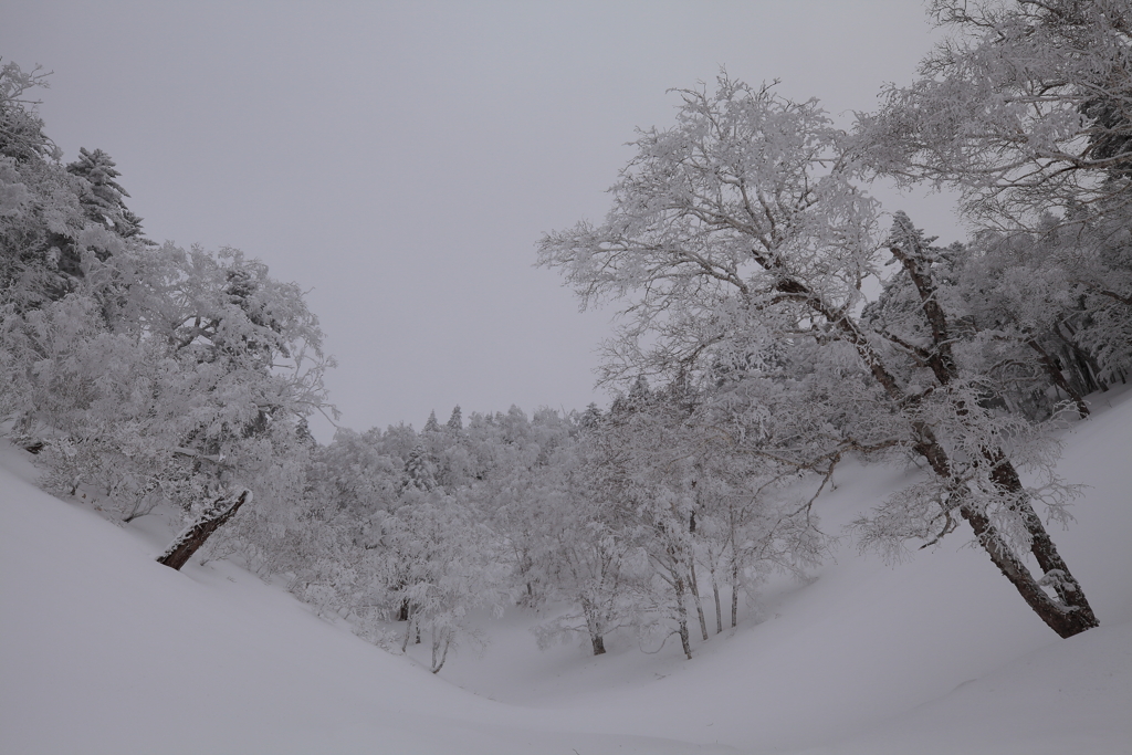 雪景色