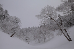 雪景色