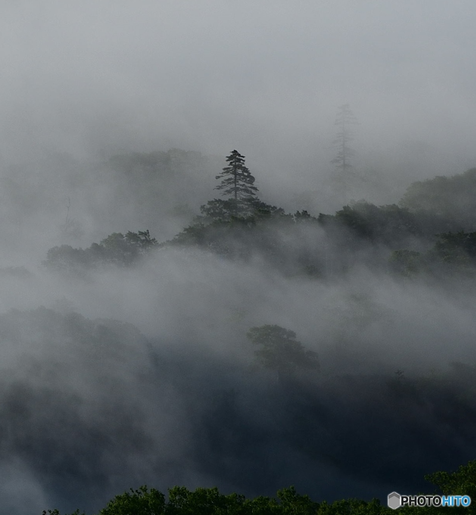 朝靄３