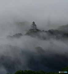 朝靄３