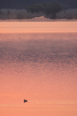 流れ込む
