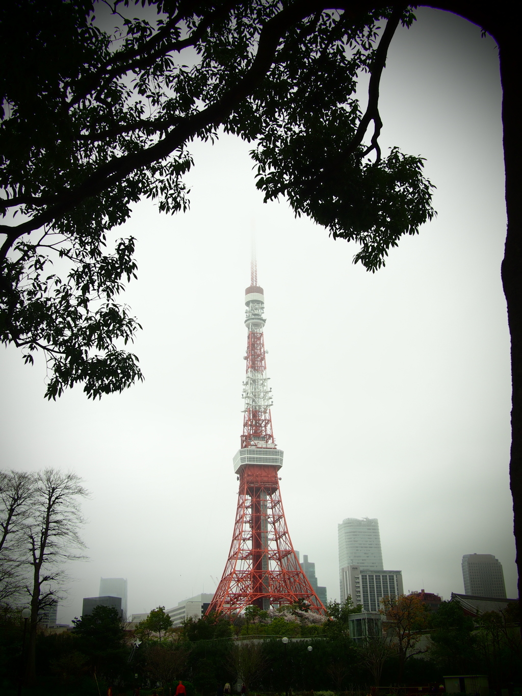 芝公園より