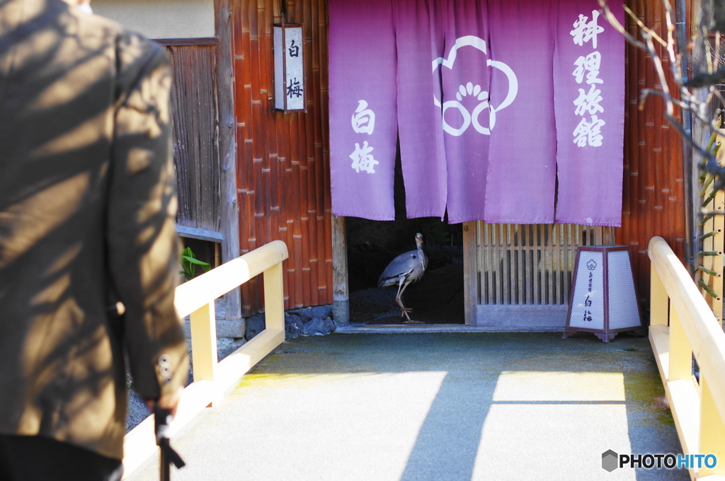 おもてなし♪