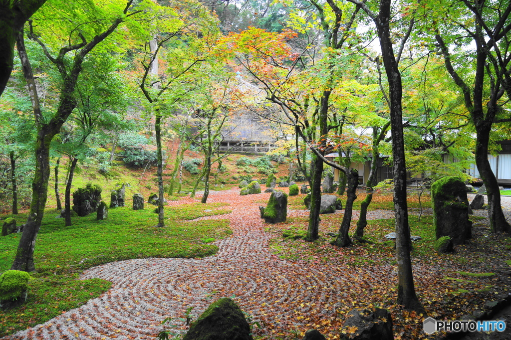 光明禅寺