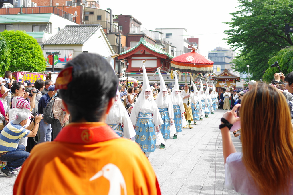 三社祭2015(1)