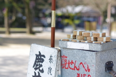 奈良公園と言えば‥