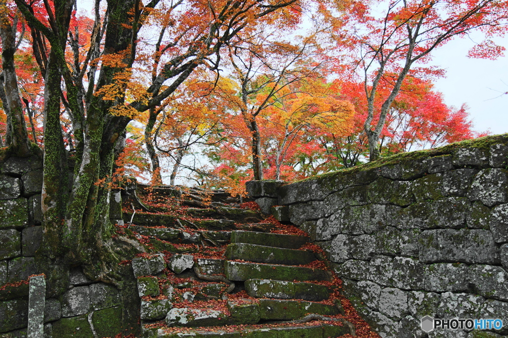 紅葉＆城跡