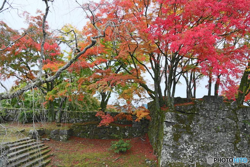 紅葉＆城跡
