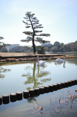 静かな瞬間