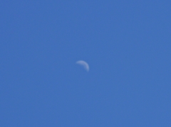 DSC_0018-pt