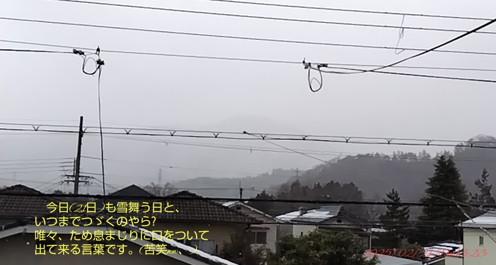2025/02/21-雪舞う日々、_0001000002719