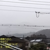2025/02/21-雪舞う日々、_0001000002719