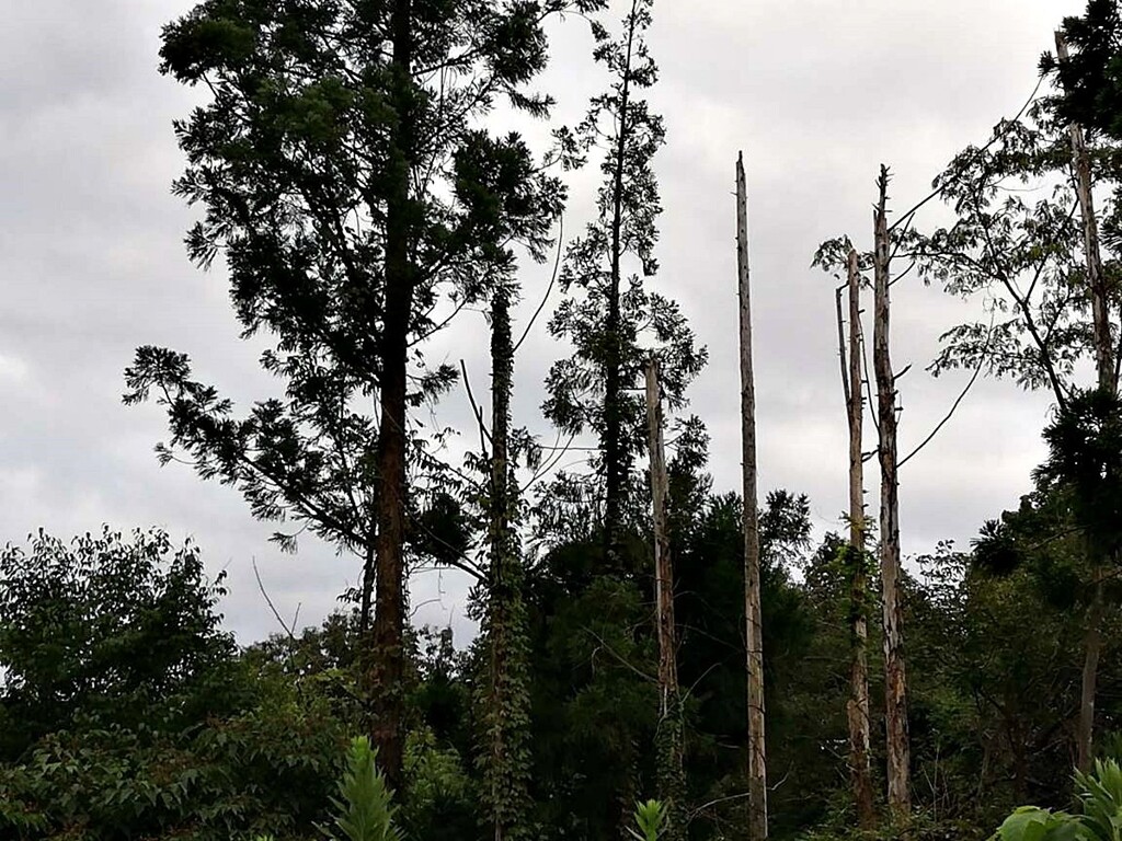 4　遠景