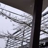 1000002745