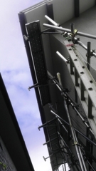 2014年11月5日のトユ交換 (3)