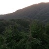 沈みゆく秋の里山-20201005 (1)